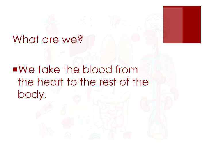 What are we? ¡We take the blood from the heart to the rest of