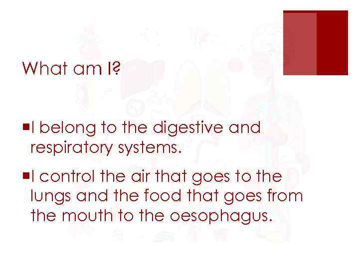 What am I? ¡I belong to the digestive and respiratory systems. ¡I control the