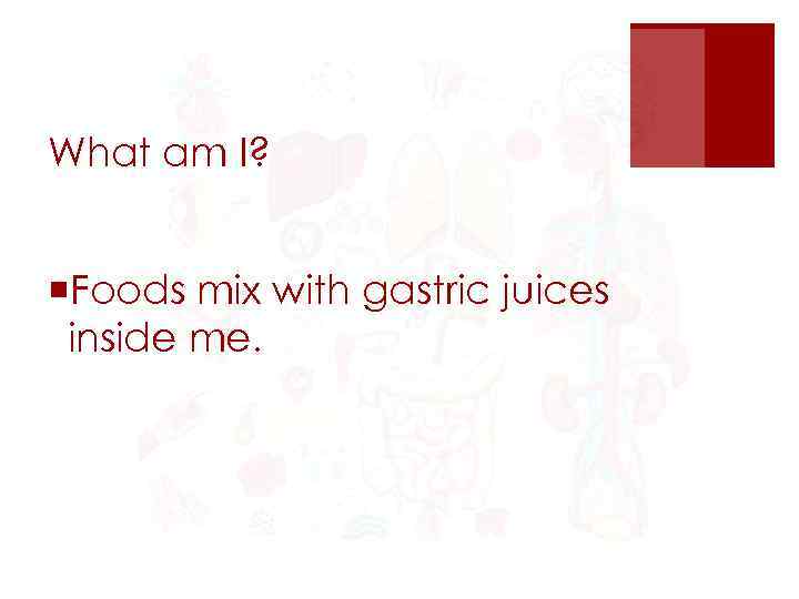 What am I? ¡Foods mix with gastric juices inside me. 