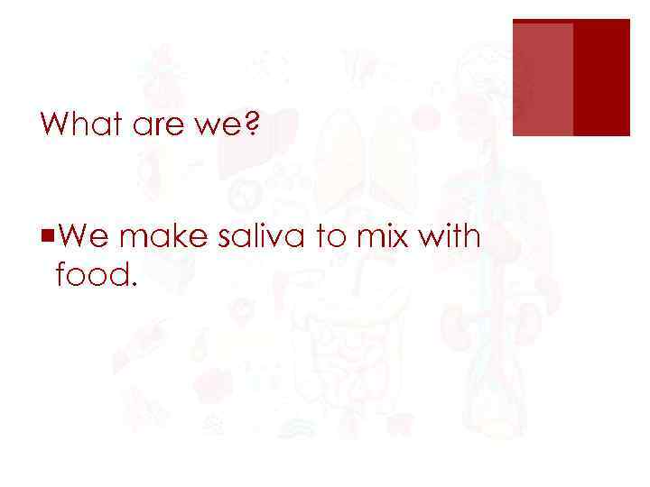 What are we? ¡We make saliva to mix with food. 