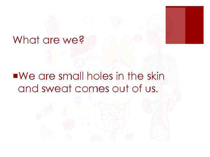 What are we? ¡We are small holes in the skin and sweat comes out