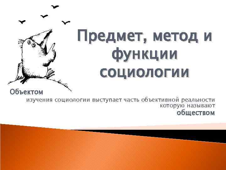 Предмет, метод и функции социологии Объектом изучения социологии выступает часть объективной реальности которую называют