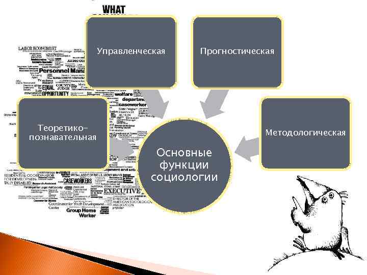 Управленческая Прогностическая Теоретикопознавательная Методологическая Основные функции социологии 