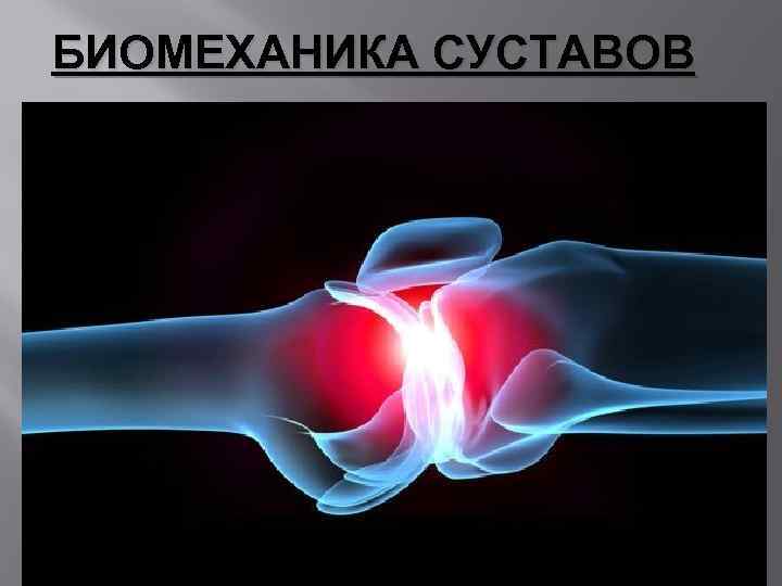 БИОМЕХАНИКА СУСТАВОВ 