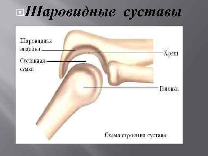 Где Можно Купить Сустав Про