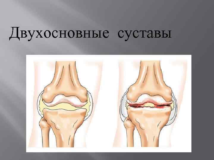 Схема движения суставов. Движения в суставах. Двухосновные суставы. Биомеханические суставы.