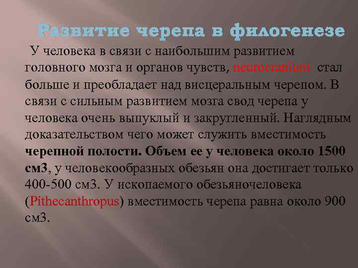 Развитие черепа в филогенезе У человека в связи с наибольшим развитием головного мозга и