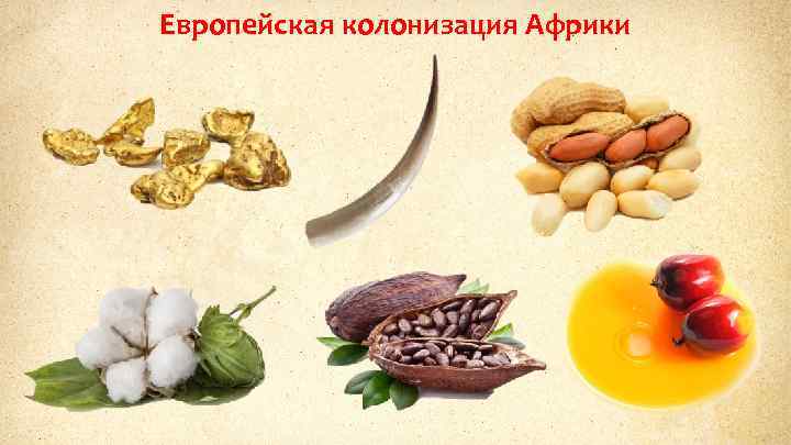 Европейская колонизация Африки 