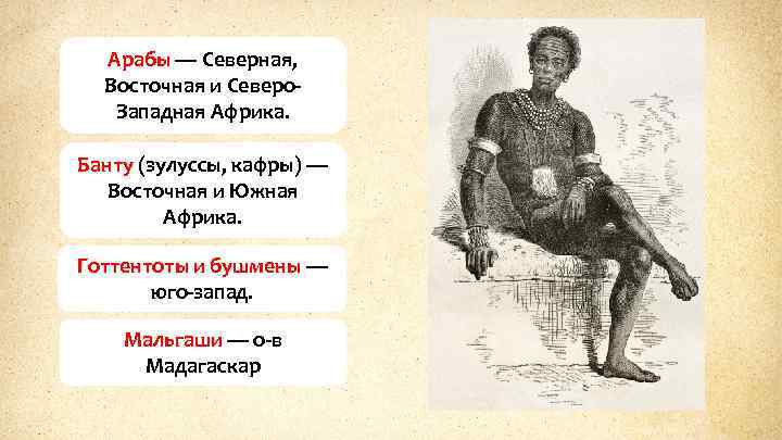 Арабы — Северная, Восточная и Северо. Западная Африка. Банту (зулуссы, кафры) — Восточная и