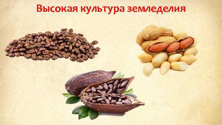 Высокая культура земледелия 
