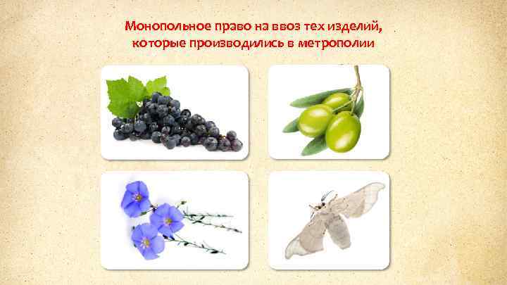 Монопольное право на ввоз тех изделий, которые производились в метрополии 