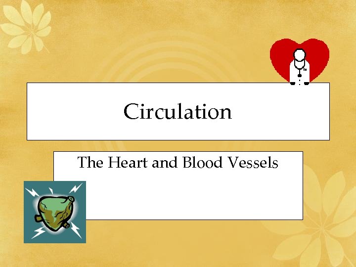 Circulation The Heart and Blood Vessels 