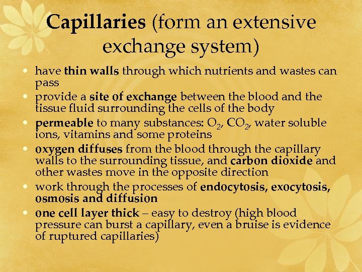 Capillaries (form an extensive exchange system) • have thin walls through which nutrients and