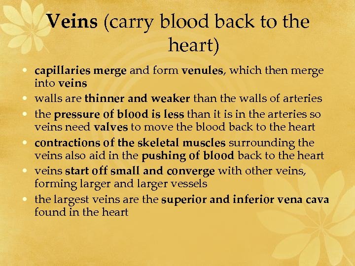 Circulation The Heart and Blood Vessels What