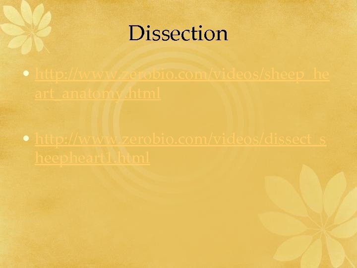 Dissection • http: //www. zerobio. com/videos/sheep_he art_anatomy. html • http: //www. zerobio. com/videos/dissect_s heepheart