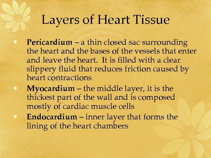 Layers of Heart Tissue • • • Pericardium – a thin closed sac surrounding