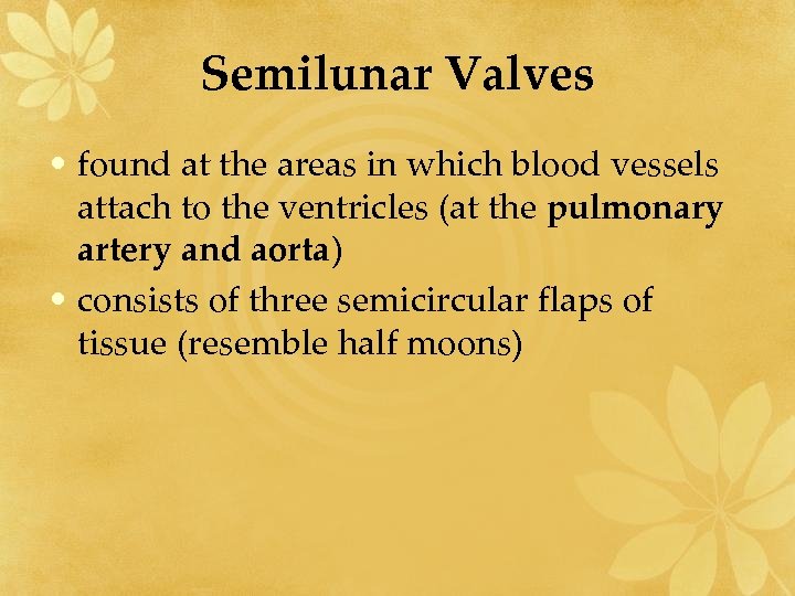 Semilunar Valves • found at the areas in which blood vessels attach to the