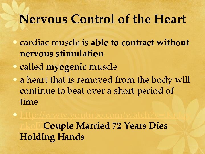 Nervous Control of the Heart • cardiac muscle is able to contract without nervous