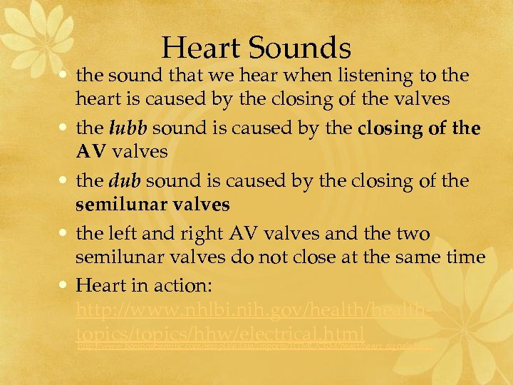 Heart Sounds • the sound that we hear when listening to the heart is