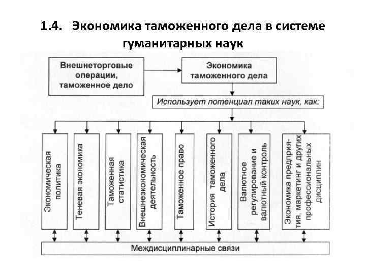 1. 4. Экономика таможенного дела в системе гуманитарных наук 