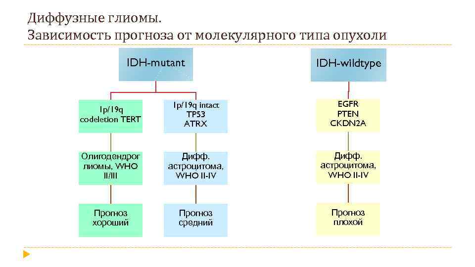 Диффузные глиомы. Зависимость прогноза от молекулярного типа опухоли IDH-mutant IDH-wildtype 1 p/19 q codeletion