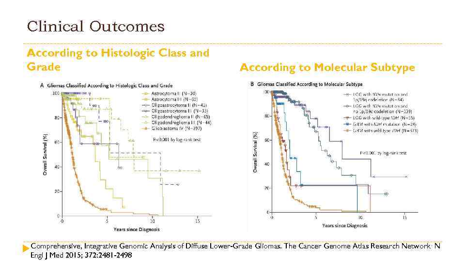 Clinical Outcomes According to Histologic Class and Grade According to Molecular Subtype Comprehensive, Integrative