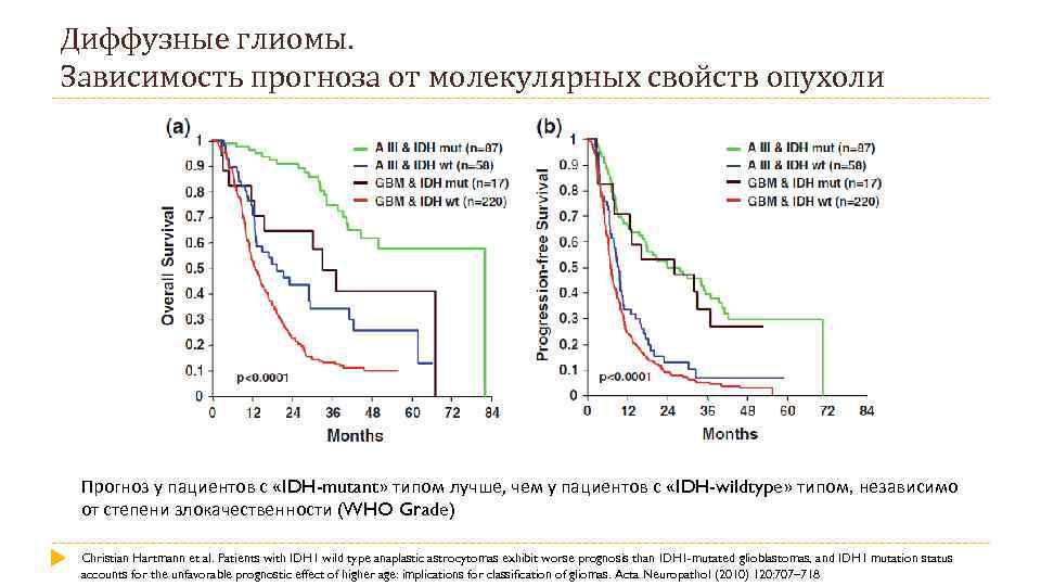 Диффузные глиомы. Зависимость прогноза от молекулярных свойств опухоли Прогноз у пациентов с «IDH-mutant» типом