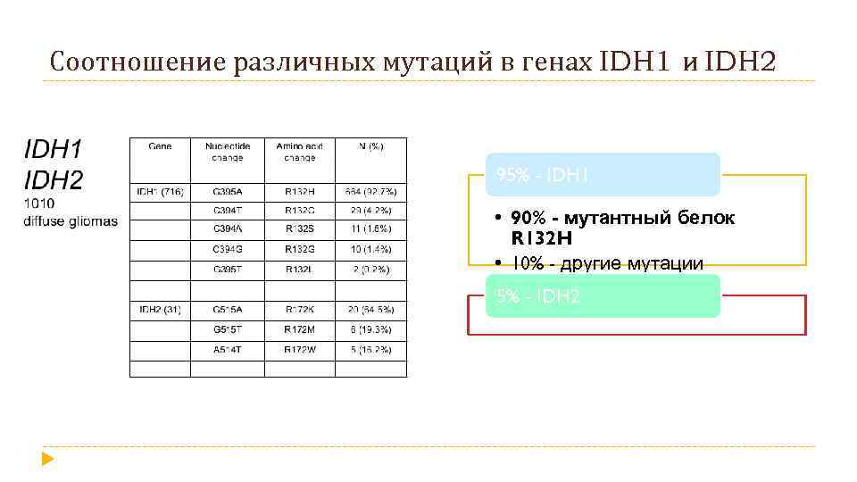 Соотношение различных мутаций в генах IDH 1 и IDH 2 95% - IDH 1