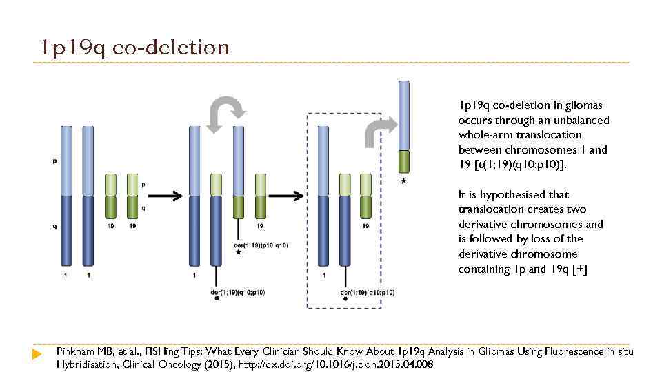 1 p 19 q co-deletion in gliomas occurs through an unbalanced whole-arm translocation between