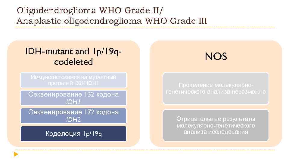 Oligodendroglioma WHO Grade II/ Anaplastic oligodendroglioma WHO Grade III IDH-mutant and 1 p/19 qcodeleted