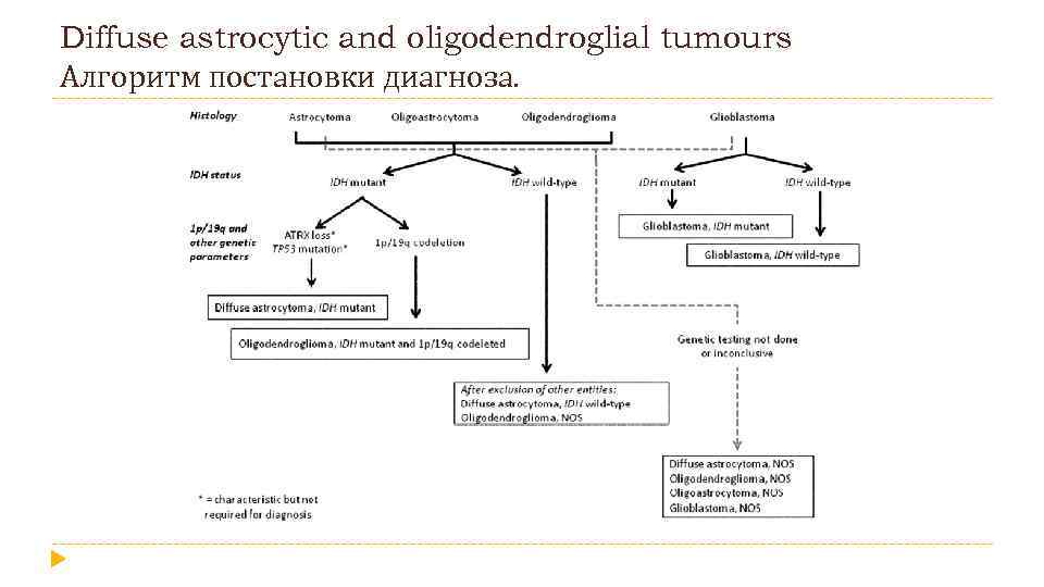 Diffuse astrocytic and oligodendroglial tumours Алгоритм постановки диагноза. 