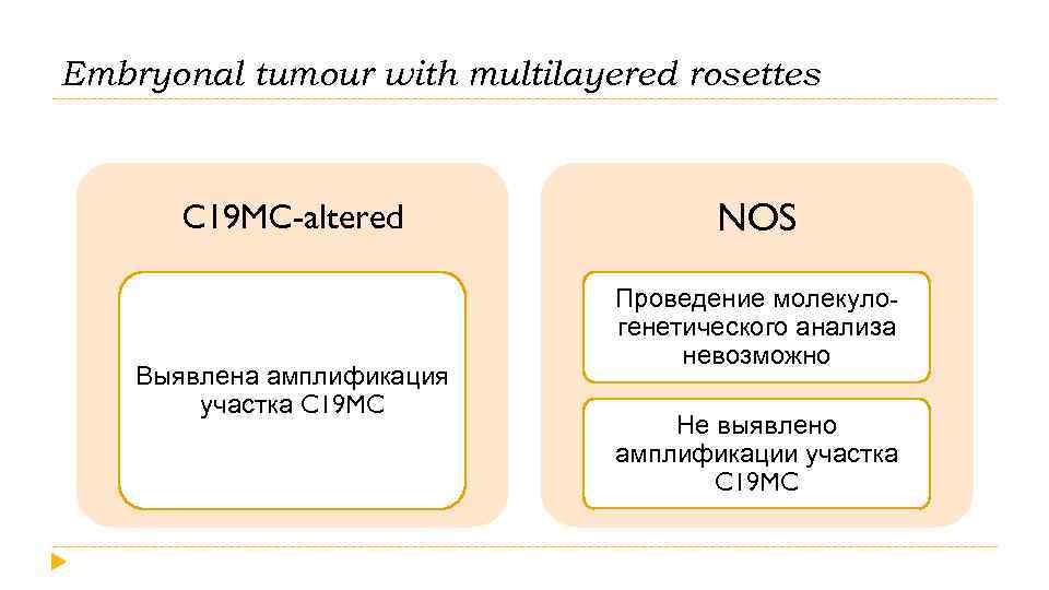 Embryonal tumour with multilayered rosettes C 19 MC-altered Выявлена амплификация участка C 19 MC