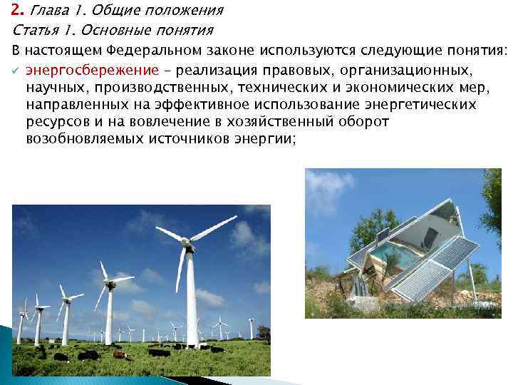 2. Глава 1. Общие положения Статья 1. Основные понятия В настоящем Федеральном законе используются