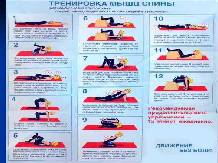 Разминка мышц груди и спины n Подъем рук вперед Основная стойка. Соедините кисти перед