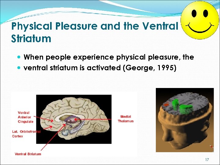 Physical Pleasure and the Ventral Striatum When people experience physical pleasure, the ventral striatum