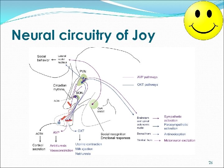 Neural circuitry of Joy 26 