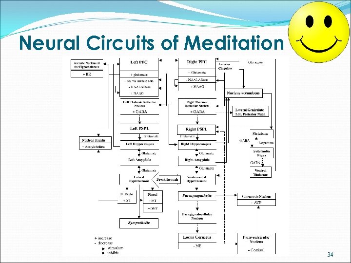 Neural Circuits of Meditation 34 