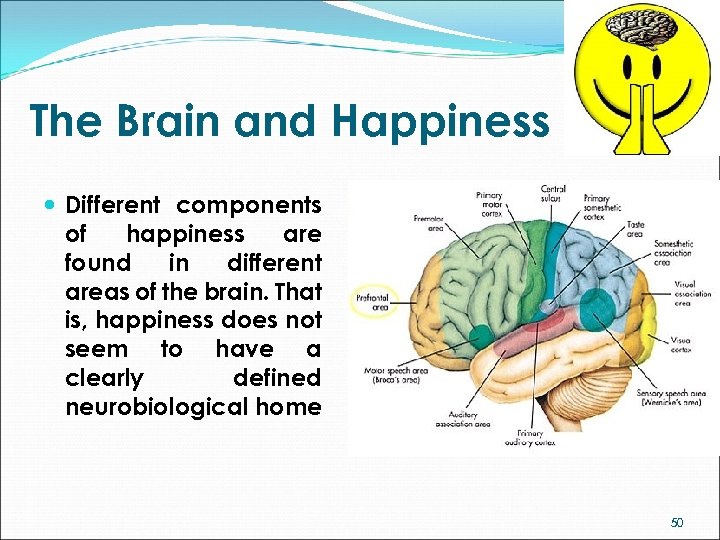 The Brain and Happiness Different components of happiness are found in different areas of