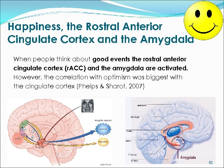 Happiness, the Rostral Anterior Cingulate Cortex and the Amygdala When people think about good