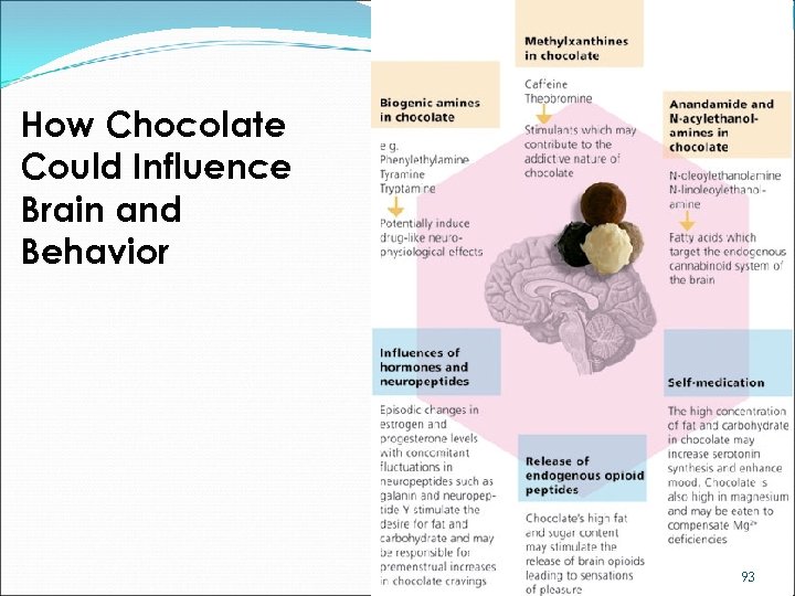 How Chocolate Could Influence Brain and Behavior 93 