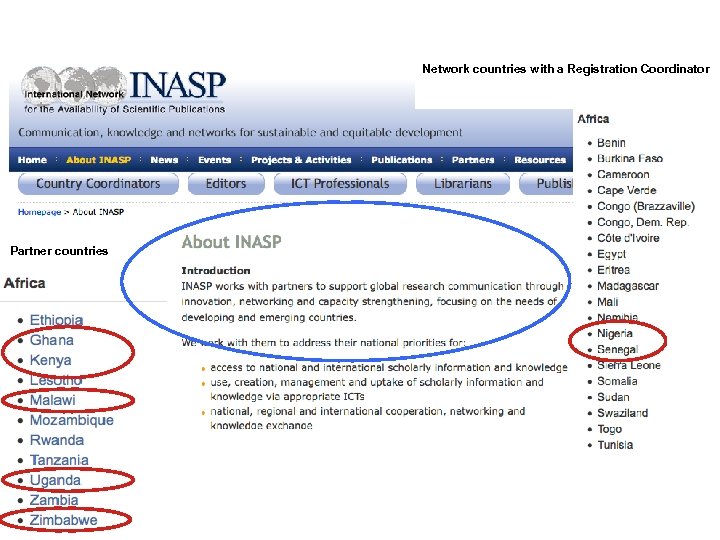 Network countries with a Registration Coordinator Partner countries 