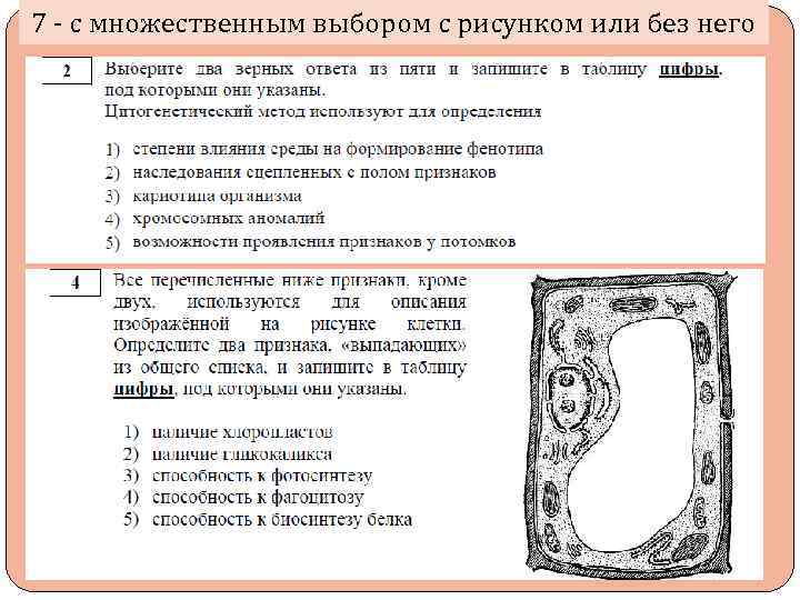 7 - с множественным выбором с рисунком или без него 