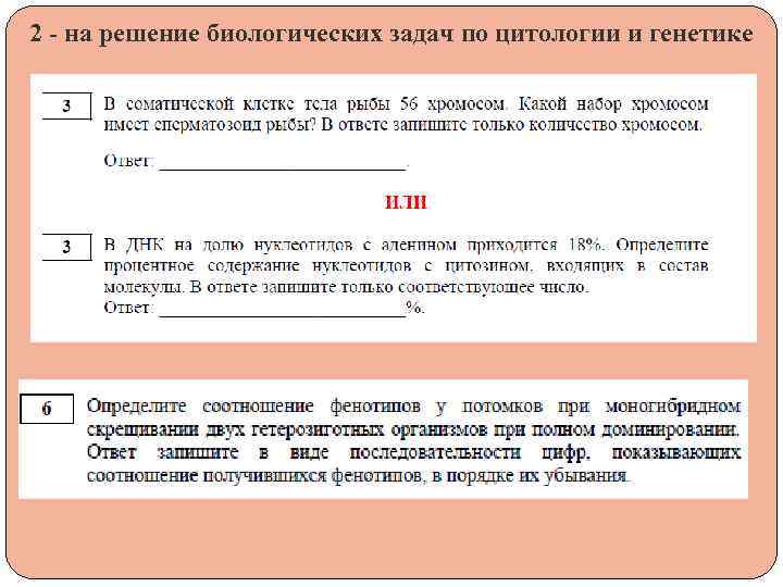 2 - на решение биологических задач по цитологии и генетике 