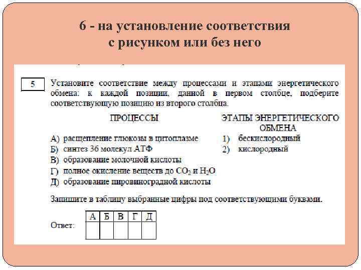 6 - на установление соответствия с рисунком или без него 