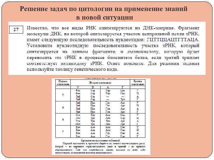 Решение задач по цитологии на применение знаний в новой ситуации 