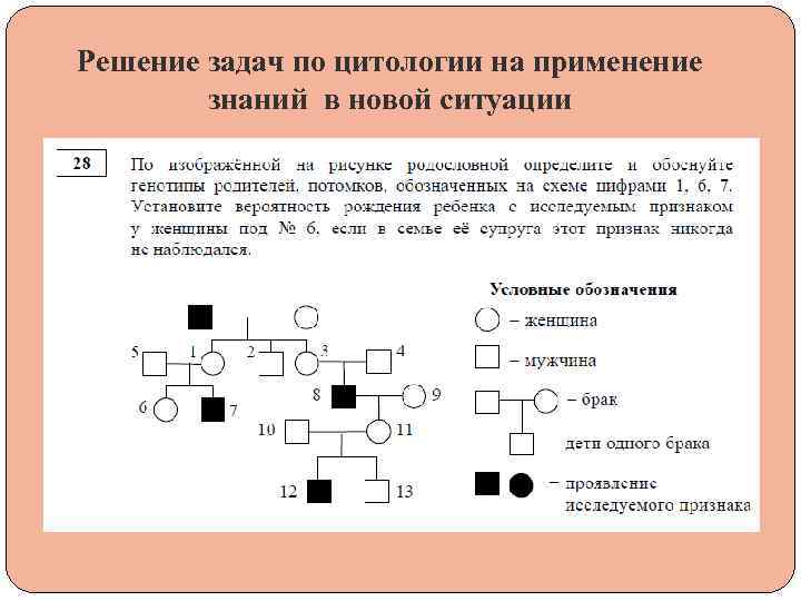 Решение задач по цитологии на применение знаний в новой ситуации 