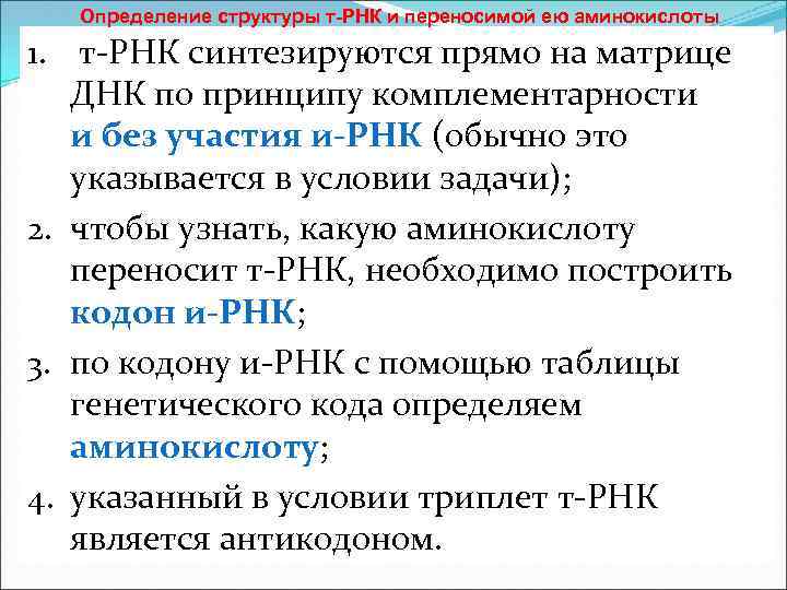 Определение структуры т РНК и переносимой ею аминокислоты 1. т-РНК синтезируются прямо на матрице