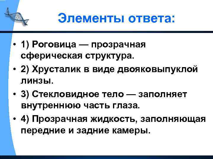 Элементы ответа: • 1) Роговица — прозрачная сферическая структура. • 2) Хрусталик в виде