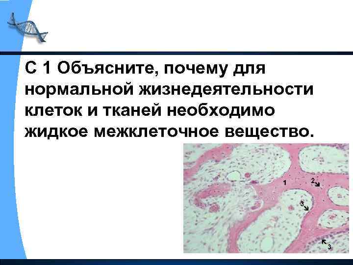 С 1 Объясните, почему для нормальной жизнедеятельности клеток и тканей необходимо жидкое межклеточное вещество.