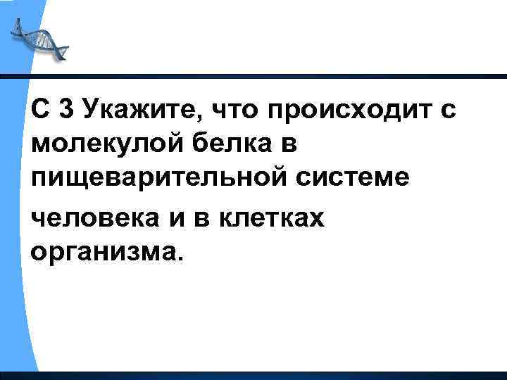 С 3 Укажите, что происходит с молекулой белка в пищеварительной системе человека и в